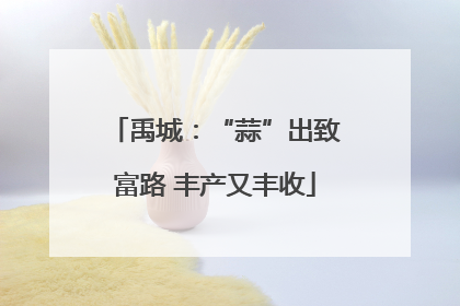 禹城：“蒜”出致富路 丰产又丰收