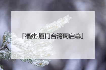 福建·厦门台湾周启幕