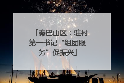 秦巴山区：驻村第一书记“组团服务”促振兴