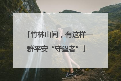 竹林山间，有这样一群平安“守望者”