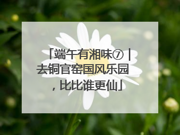 端午有湘味⑦｜去铜官窑国风乐园，比比谁更仙