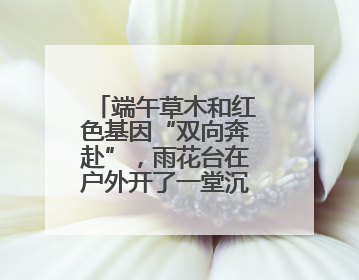 端午草木和红色基因“双向奔赴”，雨花台在户外开了一堂沉浸式思政课