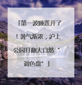 第一波睡莲开了！暑气渐浓，沪上公园打翻大自然“调色盘”