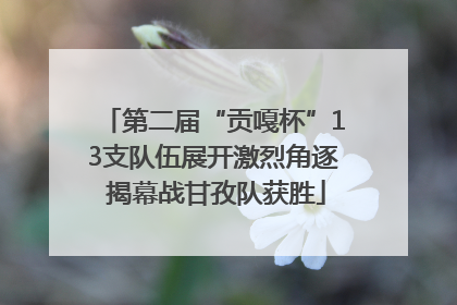 第二届“贡嘎杯”13支队伍展开激烈角逐 揭幕战甘孜队获胜