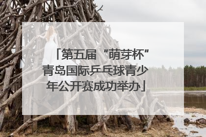 第五届“萌芽杯”青岛国际乒乓球青少年公开赛成功举办
