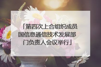 第四次上合组织成员国信息通信技术发展部门负责人会议举行