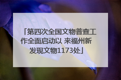 第四次全国文物普查工作全面启动以 来福州新发现文物1173处