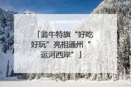翁牛特旗“好吃好玩”亮相通州“运河西岸”