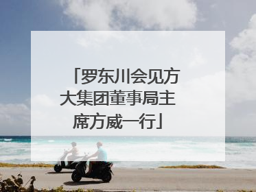 罗东川会见方大集团董事局主席方威一行