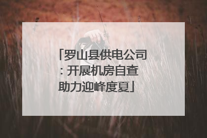 罗山县供电公司：开展机房自查 助力迎峰度夏