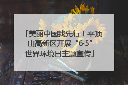 美丽中国我先行！平顶山高新区开展“6·5”世界环境日主题宣传