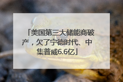 美国第三大储能商破产，欠了宁德时代、中集普威6.6亿