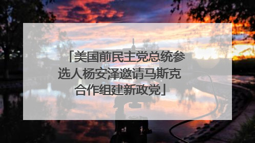 美国前民主党总统参选人杨安泽邀请马斯克合作组建新政党