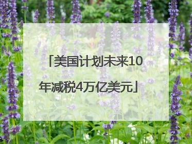 美国计划未来10年减税4万亿美元