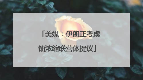 美媒：伊朗正考虑铀浓缩联营体提议