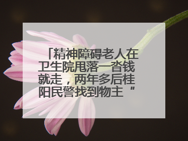 精神障碍老人在卫生院甩落一沓钱就走，两年多后桂阳民警找到物主“完璧归赵”