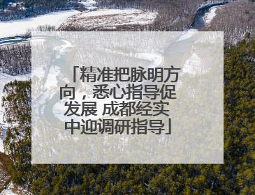 精准把脉明方向，悉心指导促发展 成都经实中迎调研指导