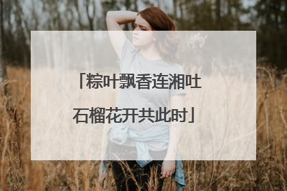 粽叶飘香连湘吐 石榴花开共此时
