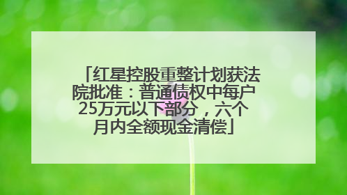 红星控股重整计划获法院批准：普通债权中每户25万元以下部分，六个月内全额现金清偿