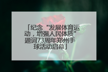 纪念“发展体育运动，增强人民体质”题词73周年郑州手球活动启幕