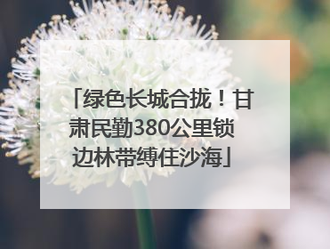 绿色长城合拢！甘肃民勤380公里锁边林带缚住沙海