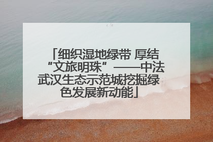 细织湿地绿带 厚结“文旅明珠”——中法武汉生态示范城挖掘绿色发展新动能