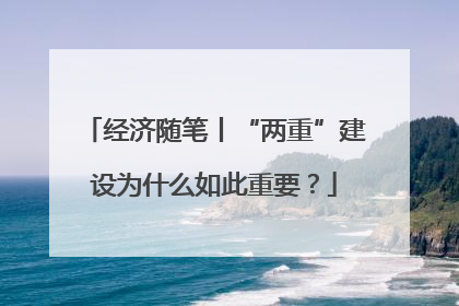 经济随笔丨“两重”建设为什么如此重要？