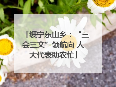绥宁东山乡：“三会三文”领航向 人大代表助农忙
