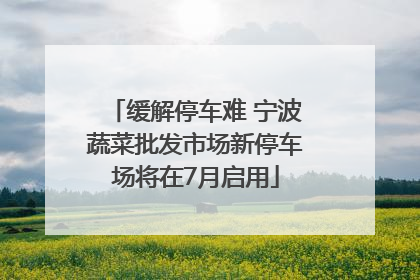 缓解停车难 宁波蔬菜批发市场新停车场将在7月启用