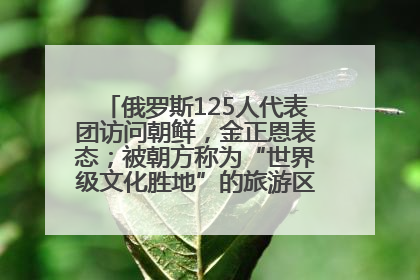 俄罗斯125人代表团访问朝鲜，金正恩表态；被朝方称为“世界级文化胜地”的旅游区，将首次接待俄游客