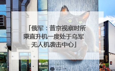 俄军：普京视察时所乘直升机一度处于乌军无人机袭击中心