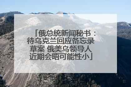 俄总统新闻秘书：待乌克兰回应备忘录草案 俄美乌领导人近期会晤可能性小
