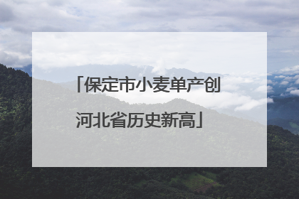 保定市小麦单产创河北省历史新高