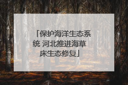 保护海洋生态系统 河北推进海草床生态修复