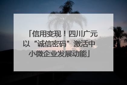 信用变现！四川广元以“诚信密码”激活中小微企业发展动能