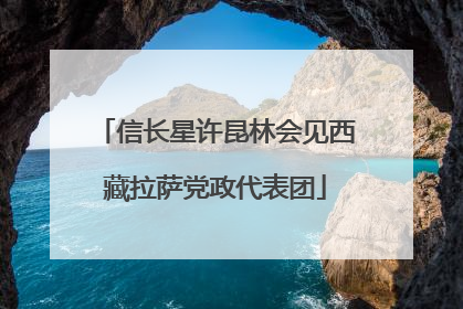 信长星许昆林会见西藏拉萨党政代表团
