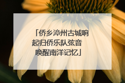 侨乡漳州古城响起归侨乐队弦音 唤醒南洋记忆