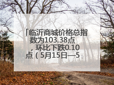 临沂商城价格总指数为103.38点，环比下跌0.10点（5月15日—5月21日）