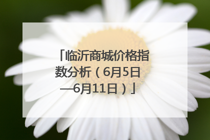临沂商城价格指数分析（6月5日—6月11日）