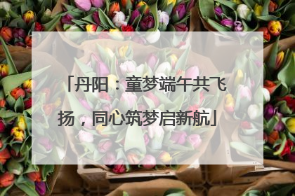 丹阳：童梦端午共飞扬，同心筑梦启新航