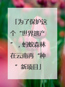 为了保护这个“世界遗产”，蚂蚁森林在云南再“种”新项目