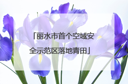 丽水市首个空域安全示范区落地青田