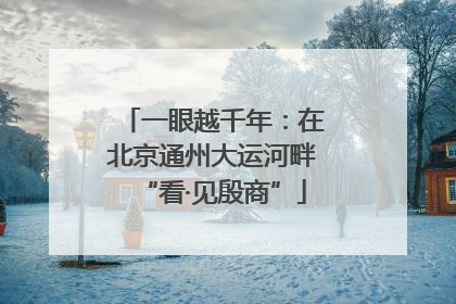 一眼越千年：在北京通州大运河畔“看·见殷商”