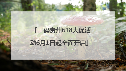 一码贵州618大促活动6月1日起全面开启