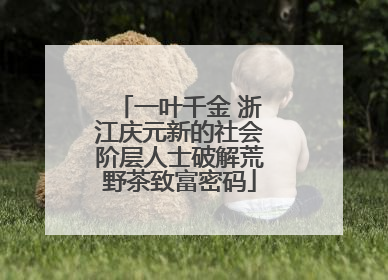 一叶千金 浙江庆元新的社会阶层人士破解荒野茶致富密码