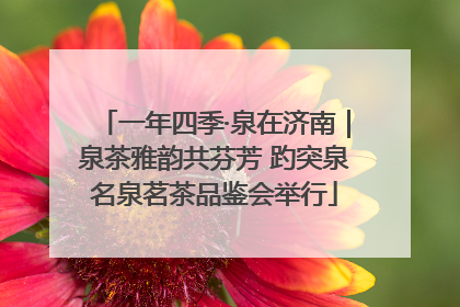 一年四季·泉在济南｜泉茶雅韵共芬芳 趵突泉名泉茗茶品鉴会举行
