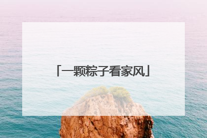一颗粽子看家风