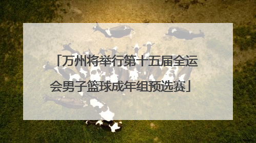 万州将举行第十五届全运会男子篮球成年组预选赛
