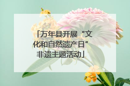 万年县开展“文化和自然遗产日”非遗主题活动