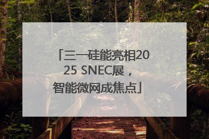 三一硅能亮相2025 SNEC展，智能微网成焦点